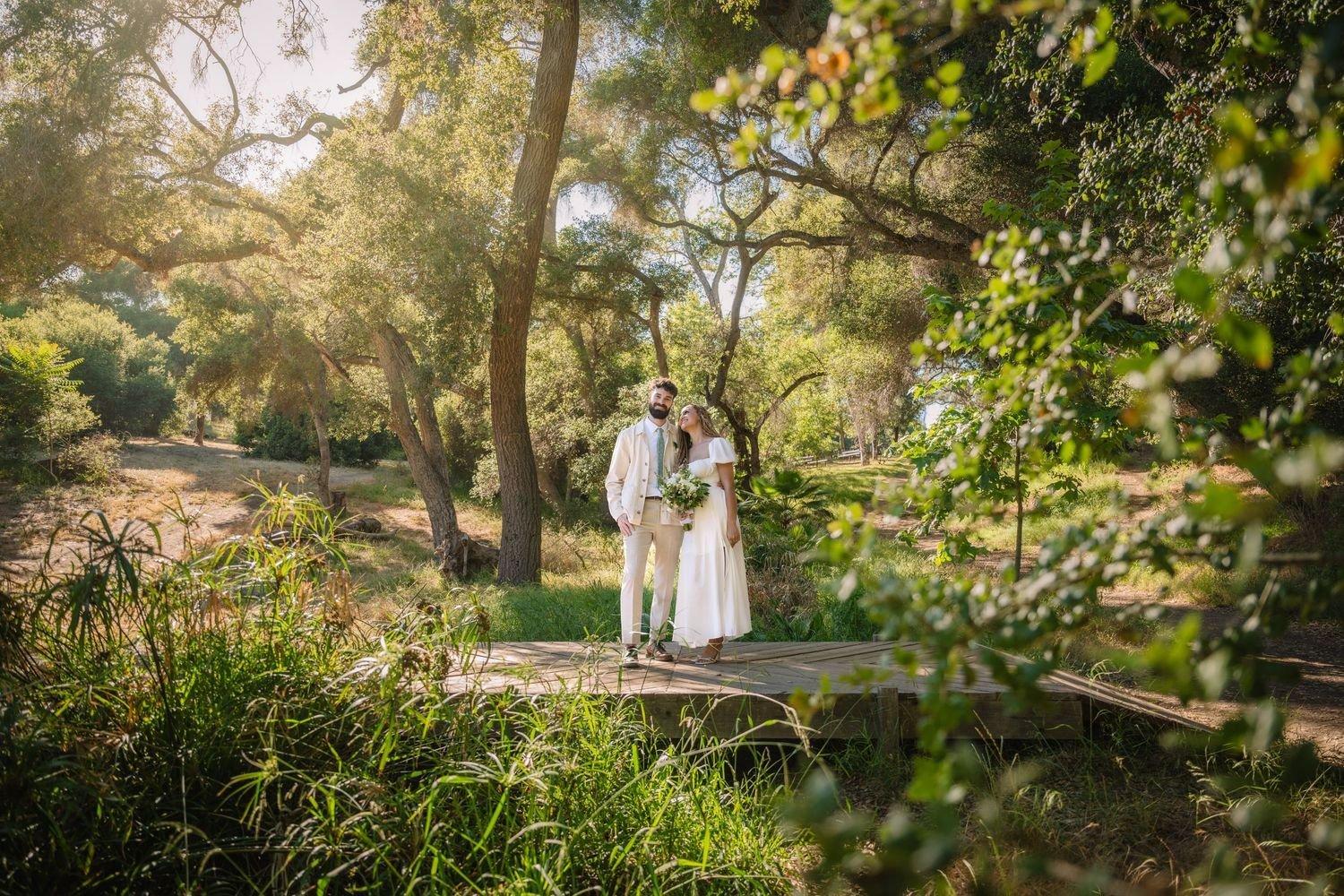 carousel-hero-element image-2