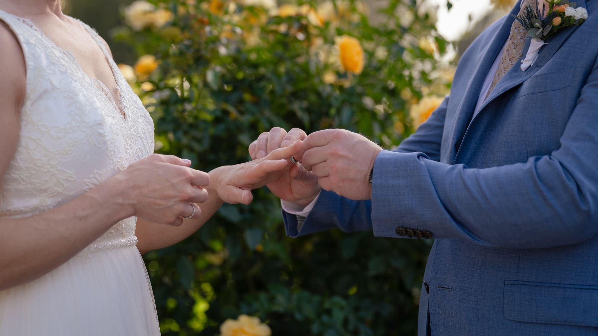 carousel-hero-element image-2