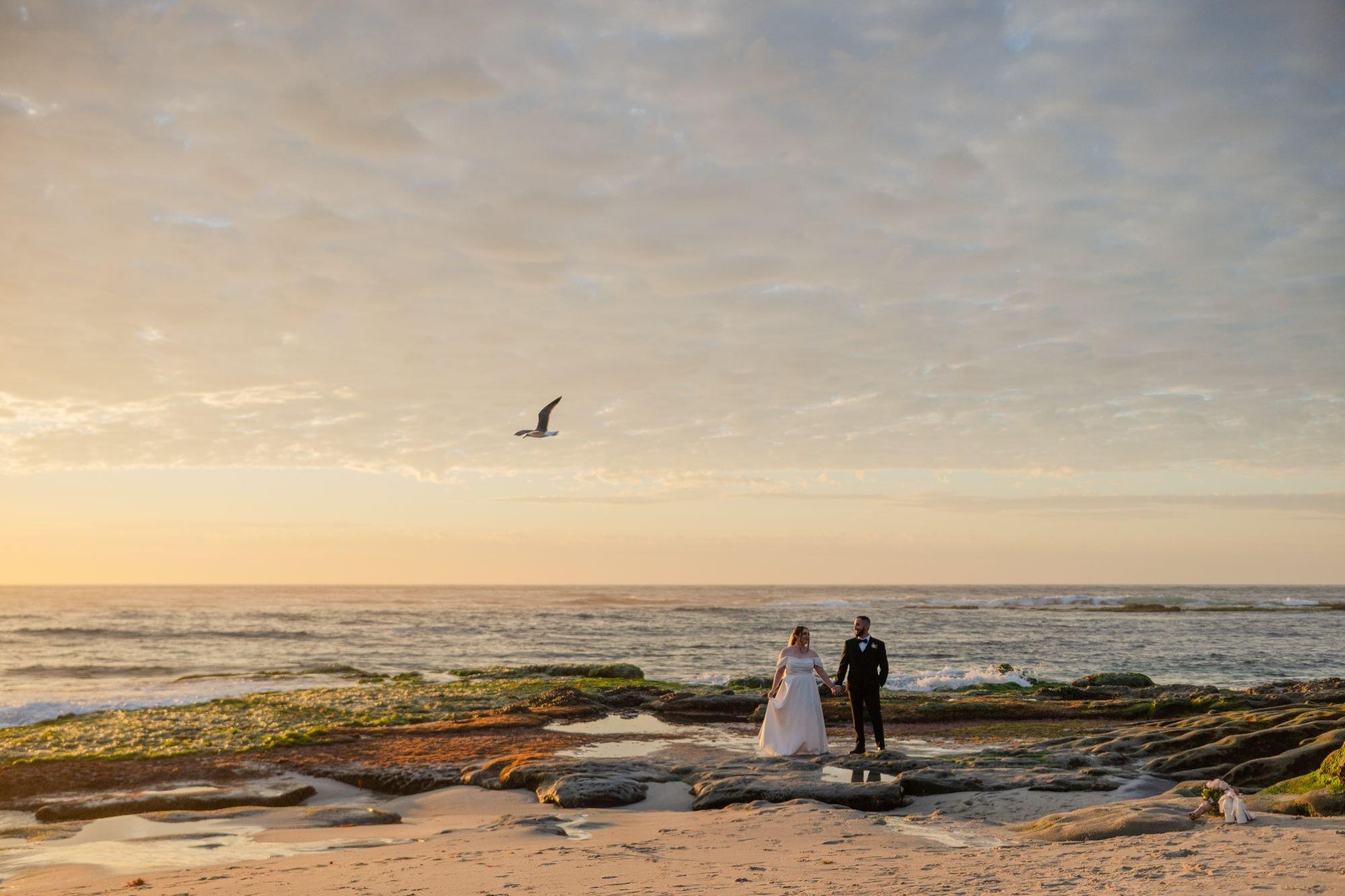 carousel-hero-element image-7